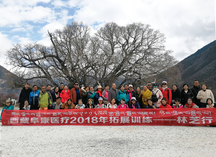 西藏阜康医疗2018年拓展训练——增强团队凝聚力、提升团队协作能力，更好地为患者服务